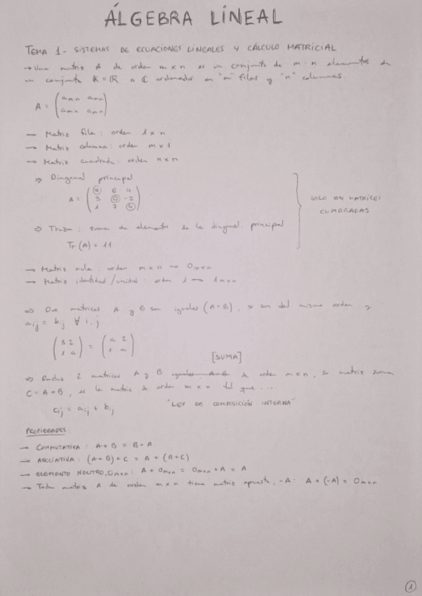 Miniatura del documento Algebra-Lineal-T.1-S.-de-Ecuaciones-L.-y-Calculo-Matricial.pdf
