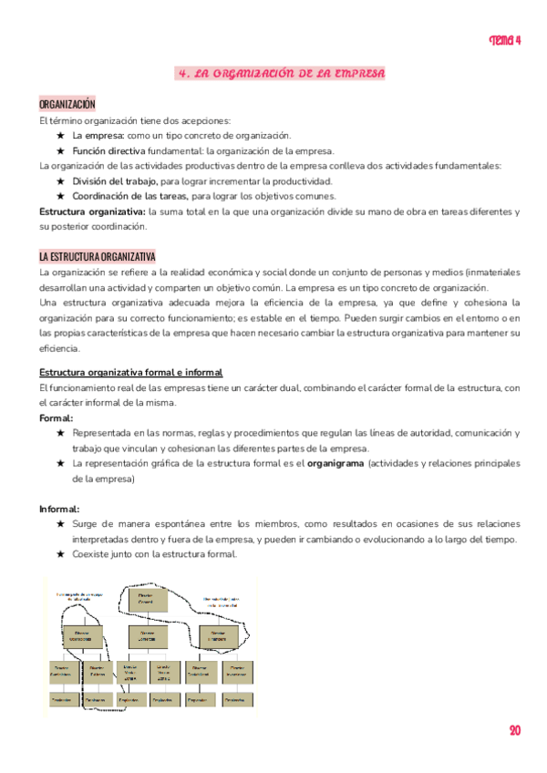 Miniatura del documento T.4 LA ORGANIZACIÓN DE LA EMPRESA.pdf