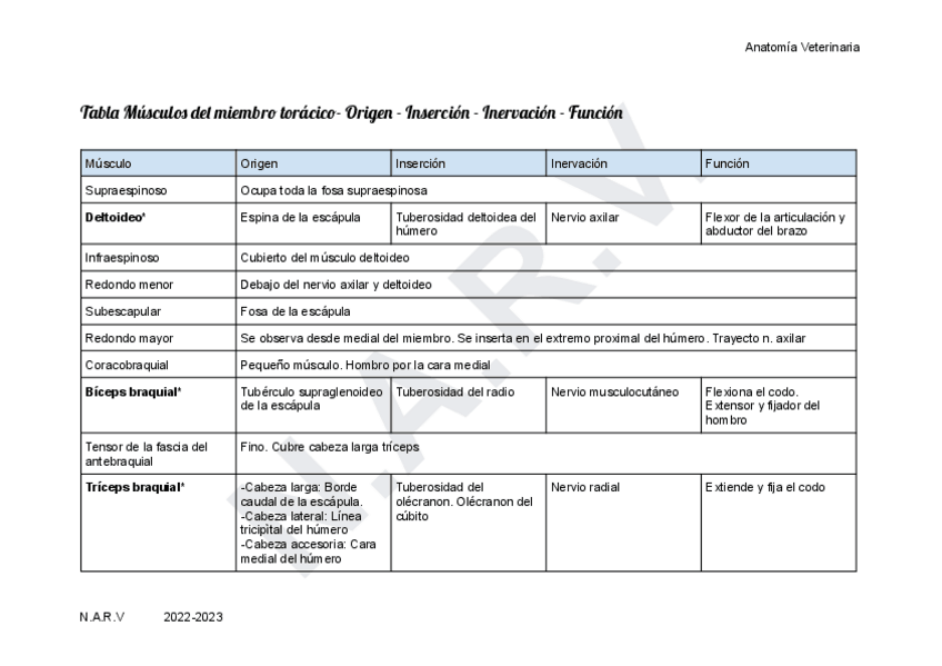 Miniatura del documento Tabla-Musculos-Miembro-Toracico.pdf
