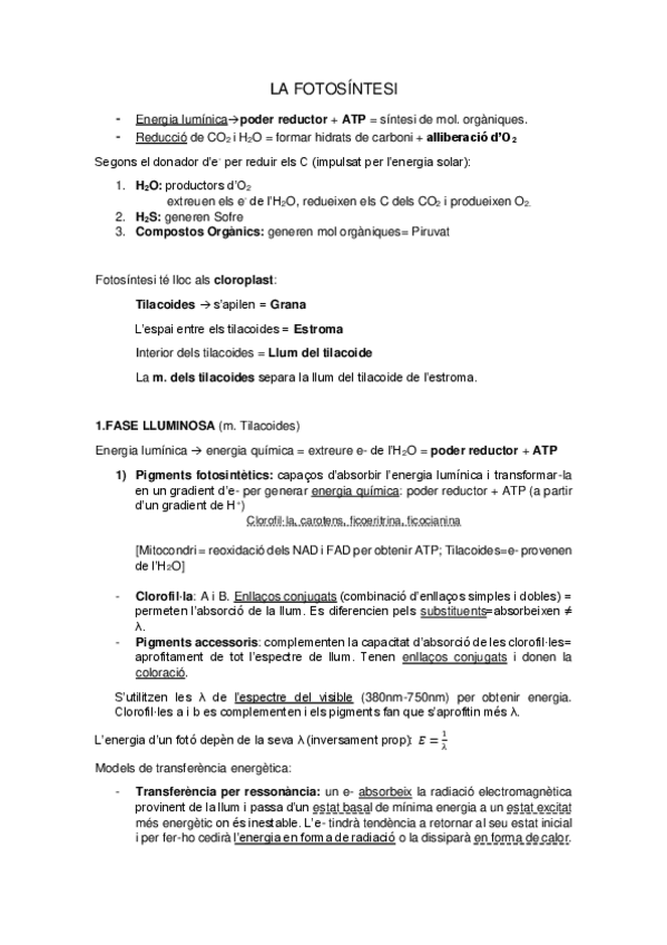 Miniatura del documento LA-FOTOSINTESI.pdf