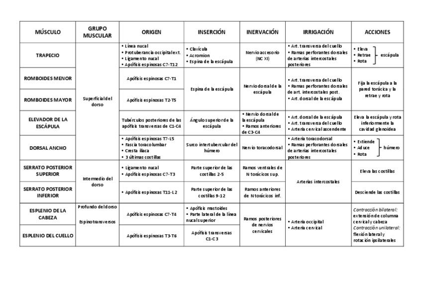 Miniatura del documento TABLA-MUSCULOS.pdf