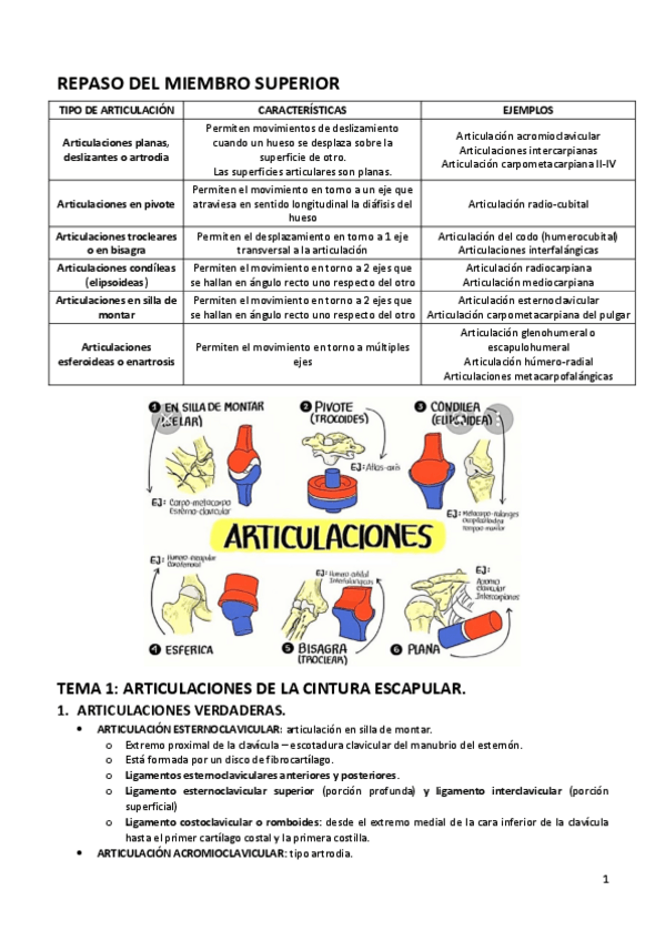Miniatura del documento Cosas-que-repasar-anato.pdf