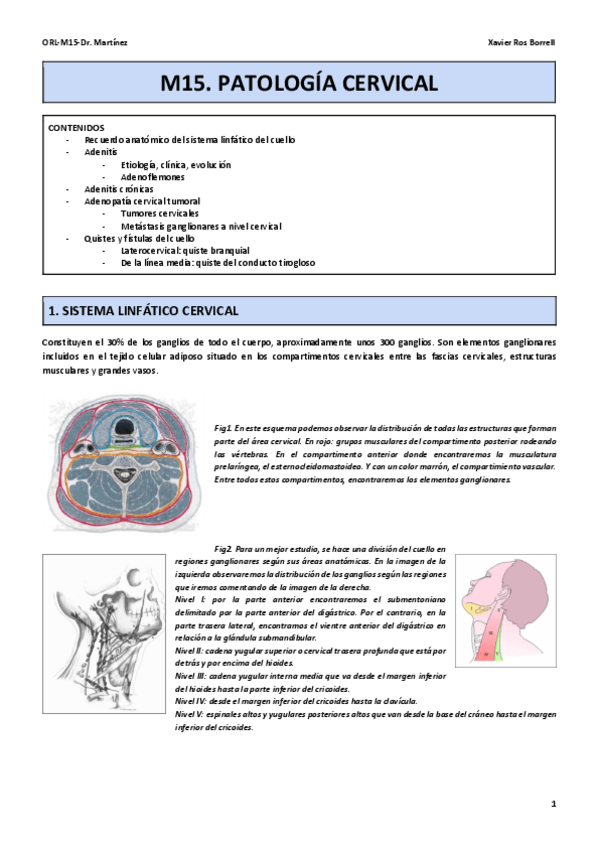 Miniatura del documento M15.pdf