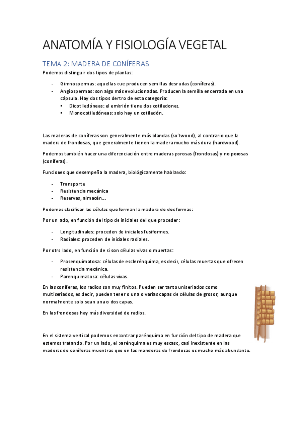 Miniatura del documento AFV T2.pdf