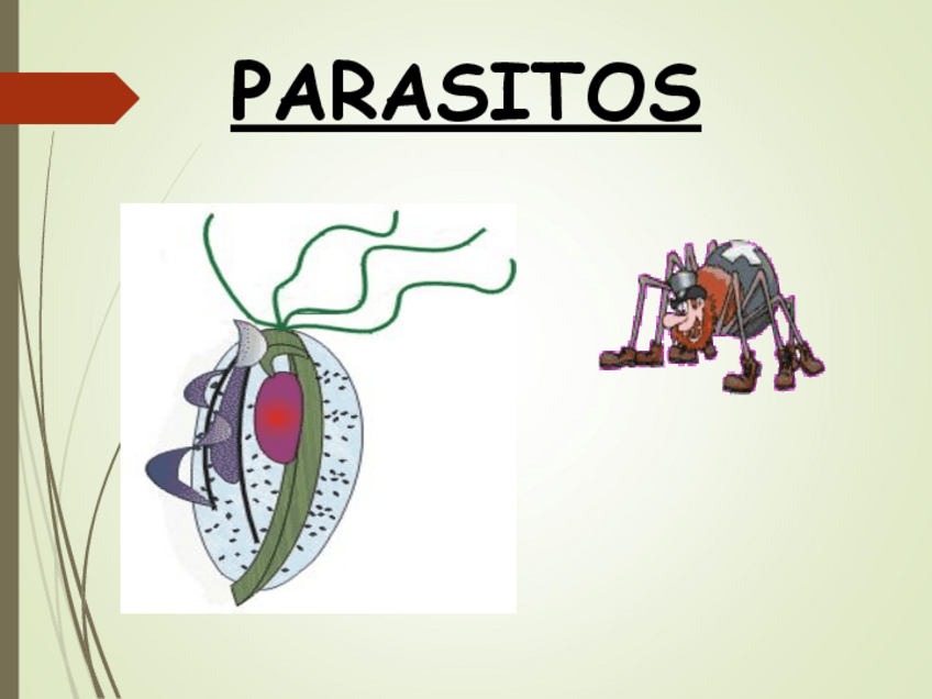 Miniatura del documento PARASITOS-PROTOZOOS.pdf