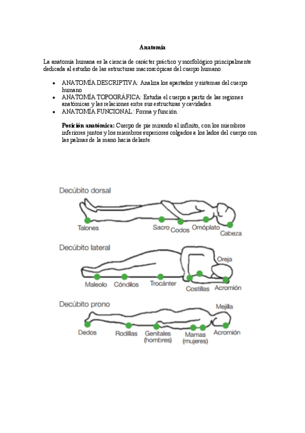 Miniatura del documento Mis-apuntes-de-Anatomia-I.pdf