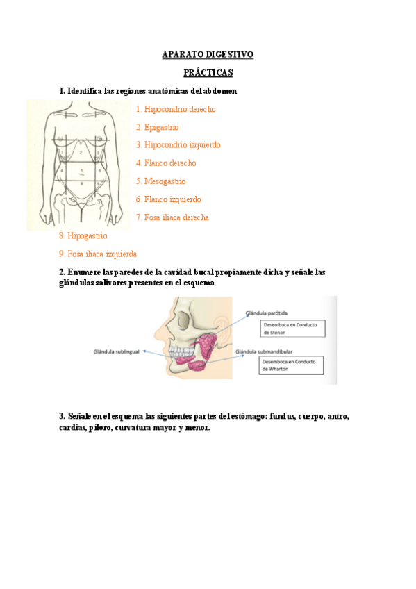 Miniatura del documento APARATO-DIGESTIVO21.pdf