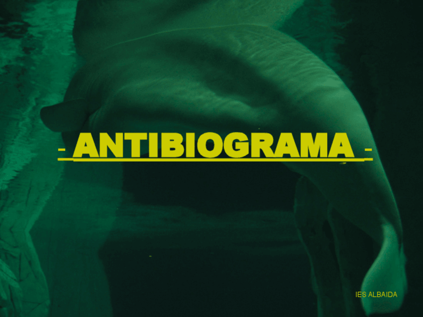 Miniatura del documento Antibiograma.pdf