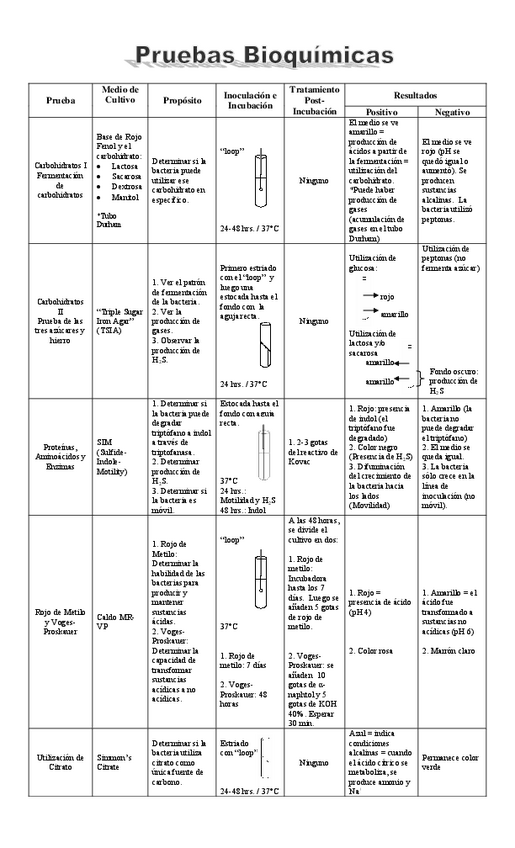 Miniatura del documento Tablapruebasbioquimicas.pdf