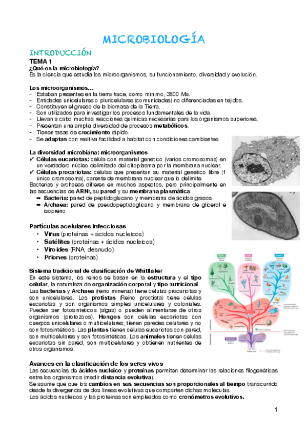 Miniatura del documento microbiologia-Primer-parcial.pdf