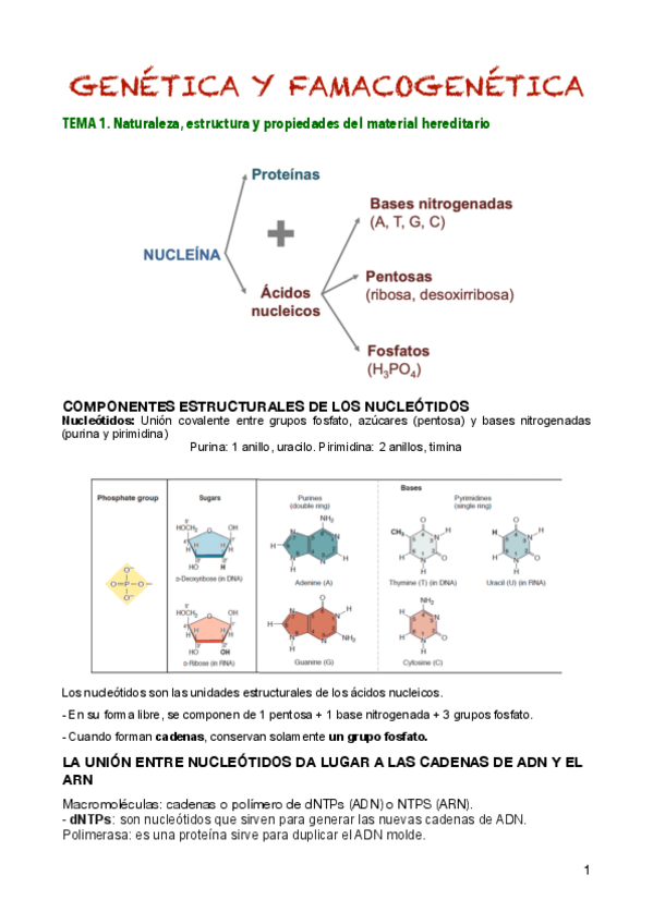 Miniatura del documento Genetica-y-farmacogenetica.pdf
