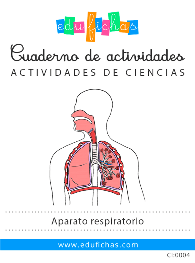 Miniatura del documento CI0004-aparato-respiratorio-edufichas.pdf