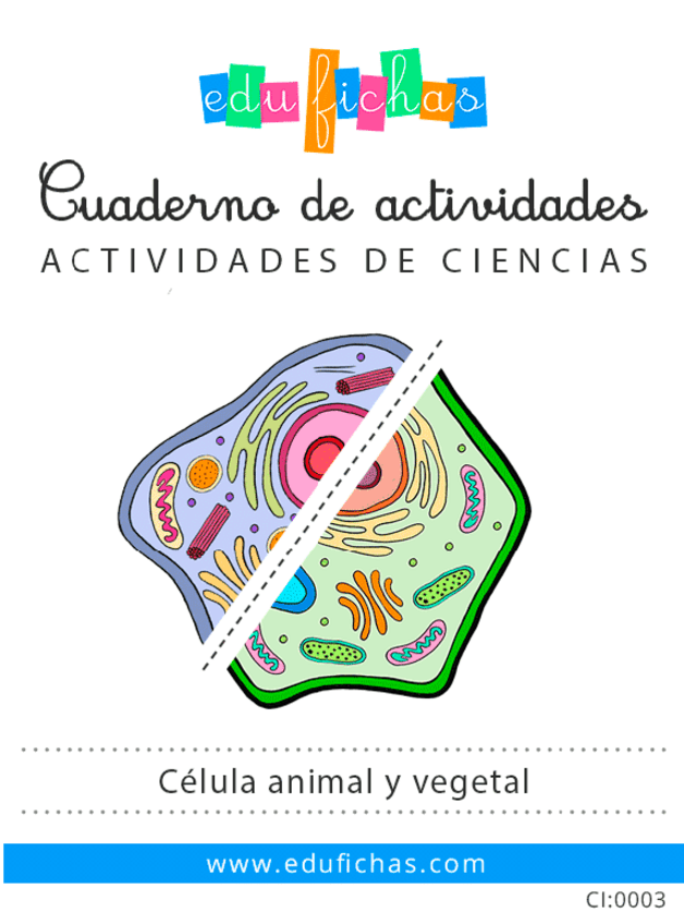 Miniatura del documento CI0003-celula-animal-vegetal-edufichas.pdf