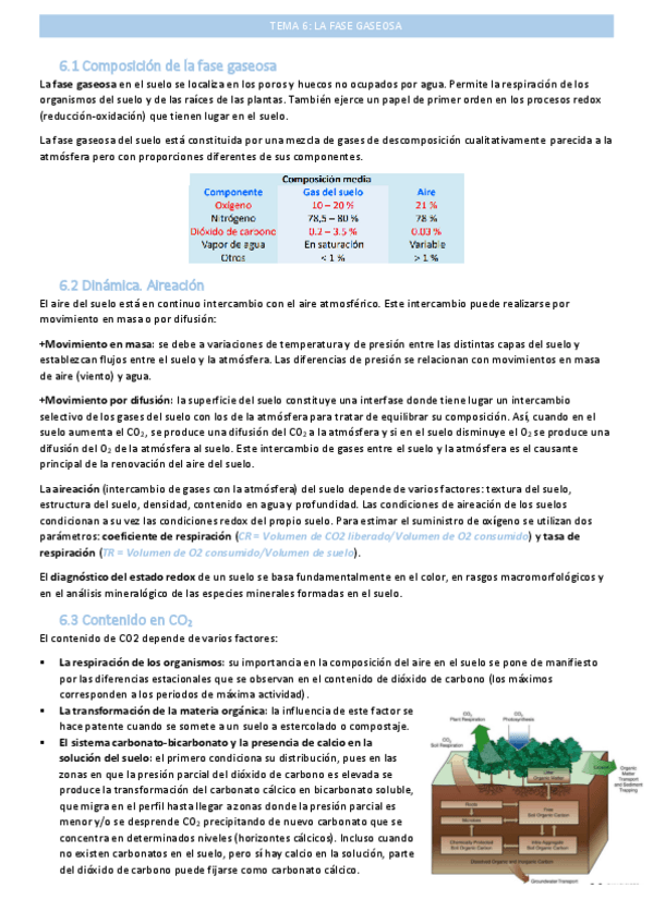 Miniatura del documento fase-gaseosatema-6.pdf