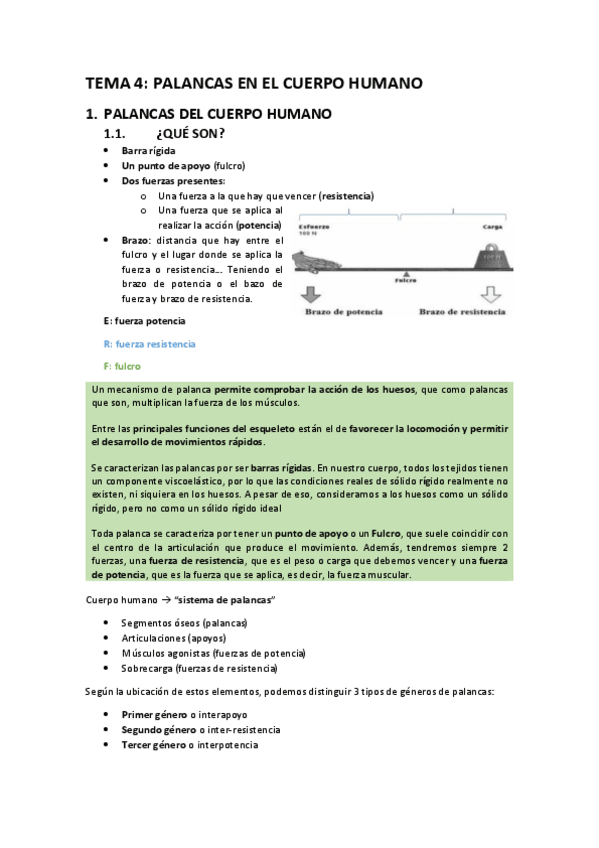 Miniatura del documento Palancas-en-el-cuerpo-humano.pdf