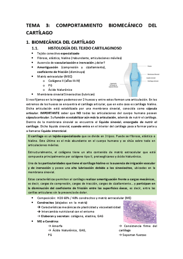 Miniatura del documento Comportamiento-biomecanico-del-cartilago.pdf