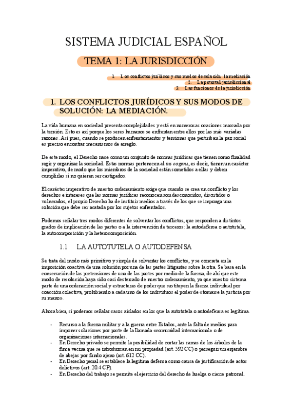Miniatura del documento APUNTES-PROCESAL-DEFINITIVOS-ANGELA.pdf