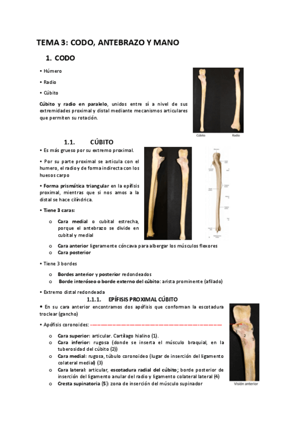 Miniatura del documento Codo-antebrazo-y-mano.pdf
