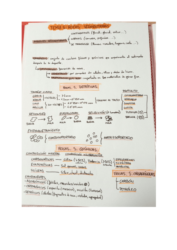Miniatura del documento Rocas-sedimentarias.pdf