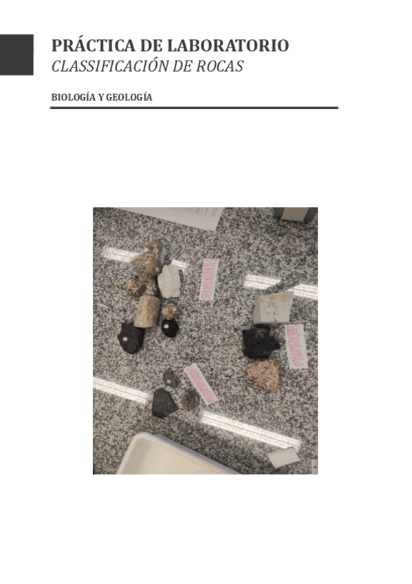 Miniatura del documento PRACTICA-DE-LABORATORIO.pdf