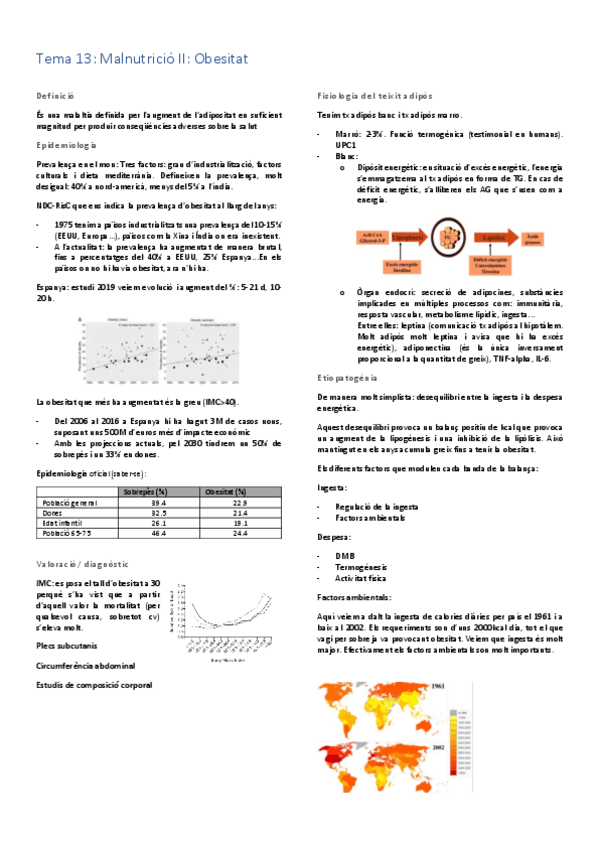 Miniatura del documento Tema-13.pdf