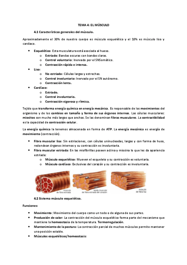 Miniatura del documento Tema-4-Funcion.pdf