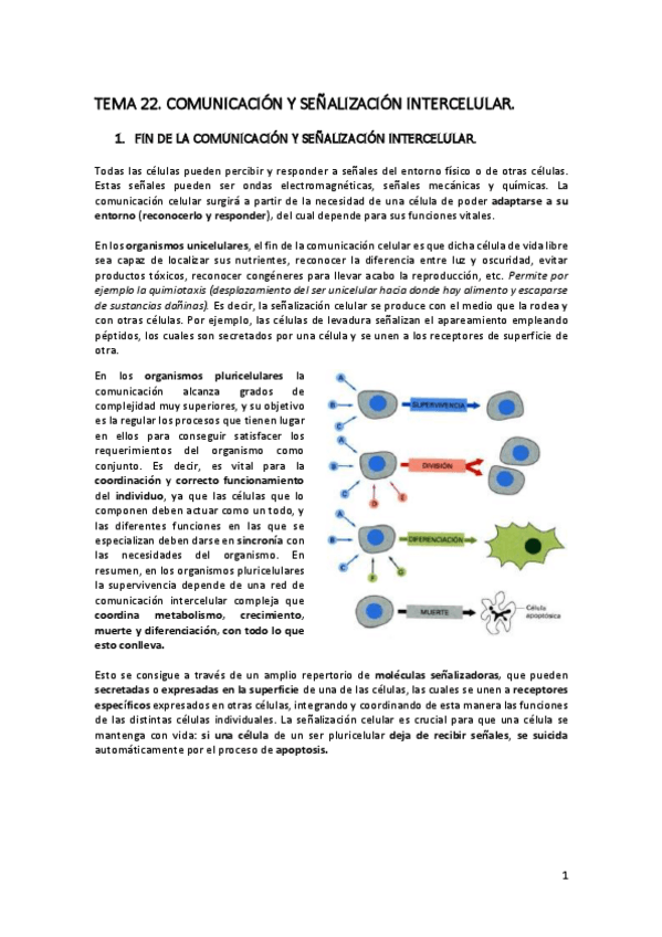 Miniatura del documento TEMA-22.pdf