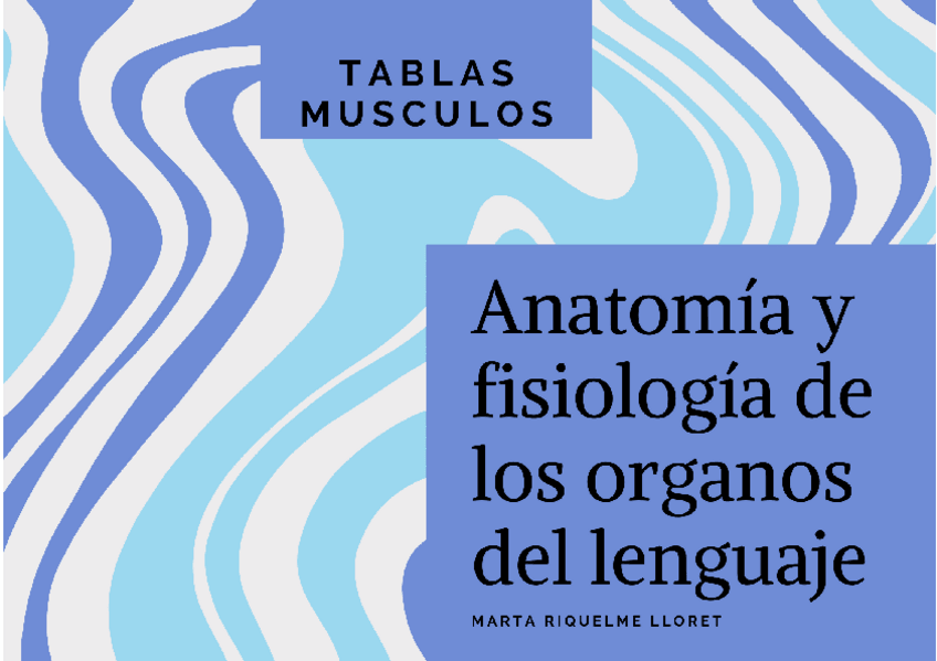 Miniatura del documento Tabla-musculos.pdf