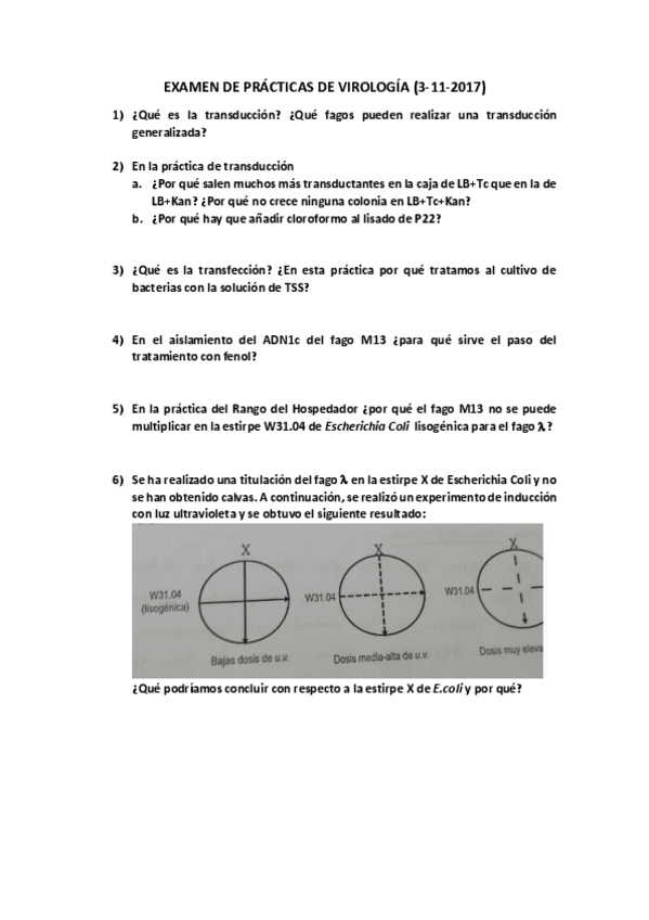 Miniatura del documento EXAMEN DE PRÁCTICAS DE VIROLOGÍA.pdf
