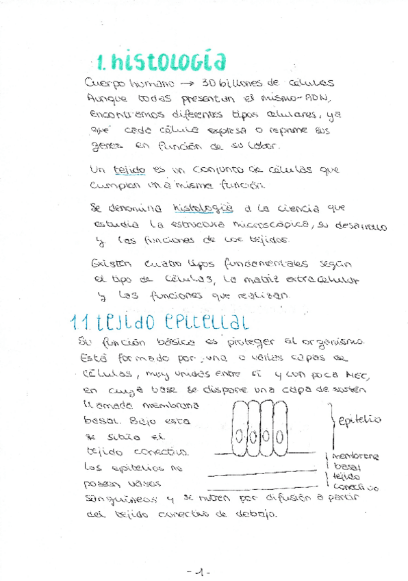 Miniatura del documento fisio-tema-2-parte-1.pdf