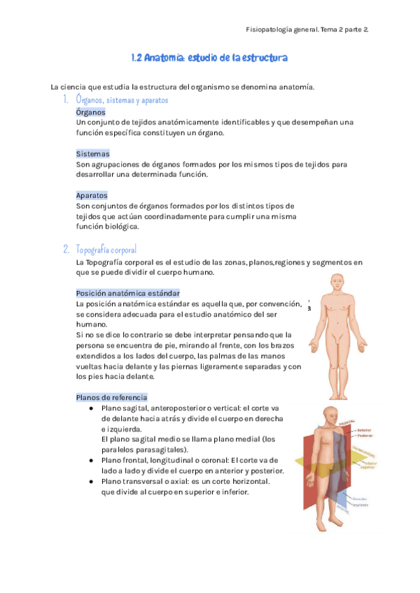 Miniatura del documento Fisio-tema-2-parte-2.pdf