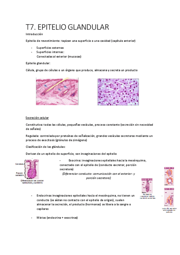 Miniatura del documento T7.pdf