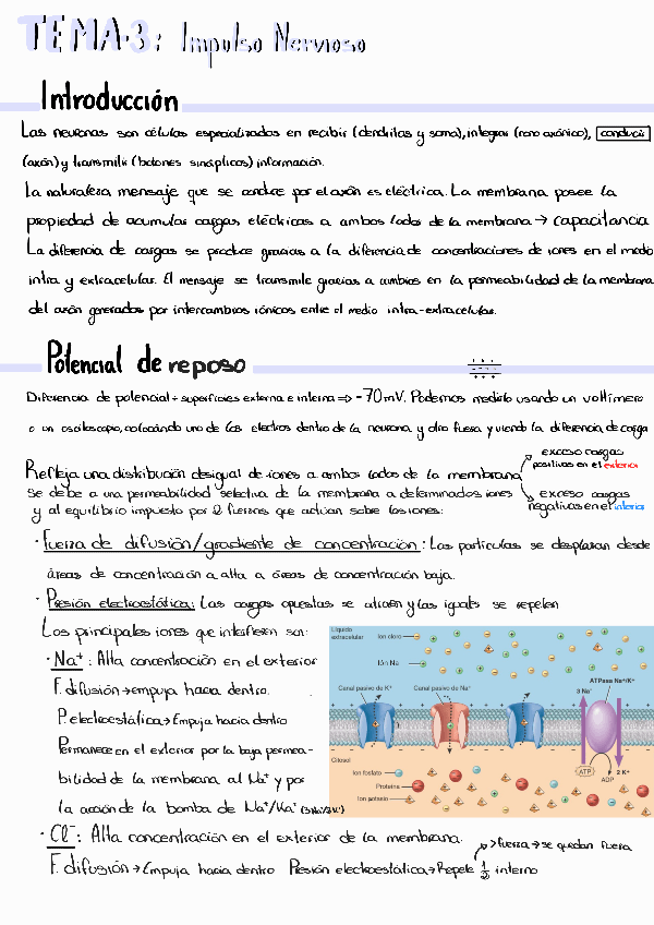 Miniatura del documento Tema3bio221113183245.pdf