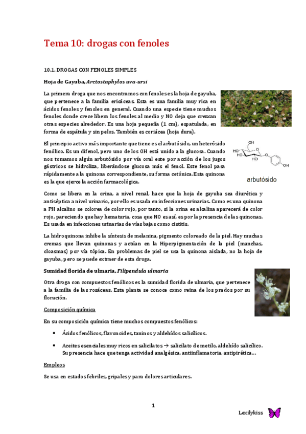 Miniatura del documento Tema 10 farmacognosia.pdf