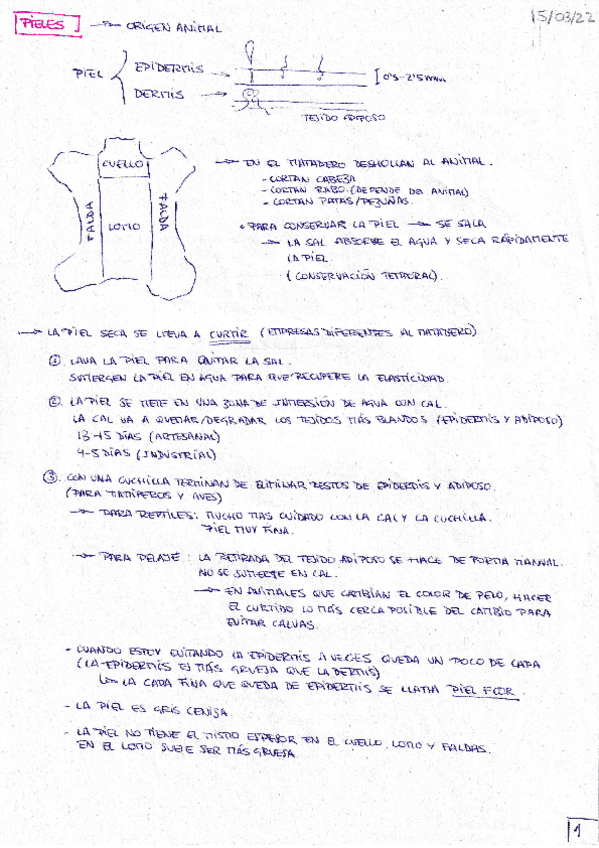 Miniatura del documento UD11.pdf
