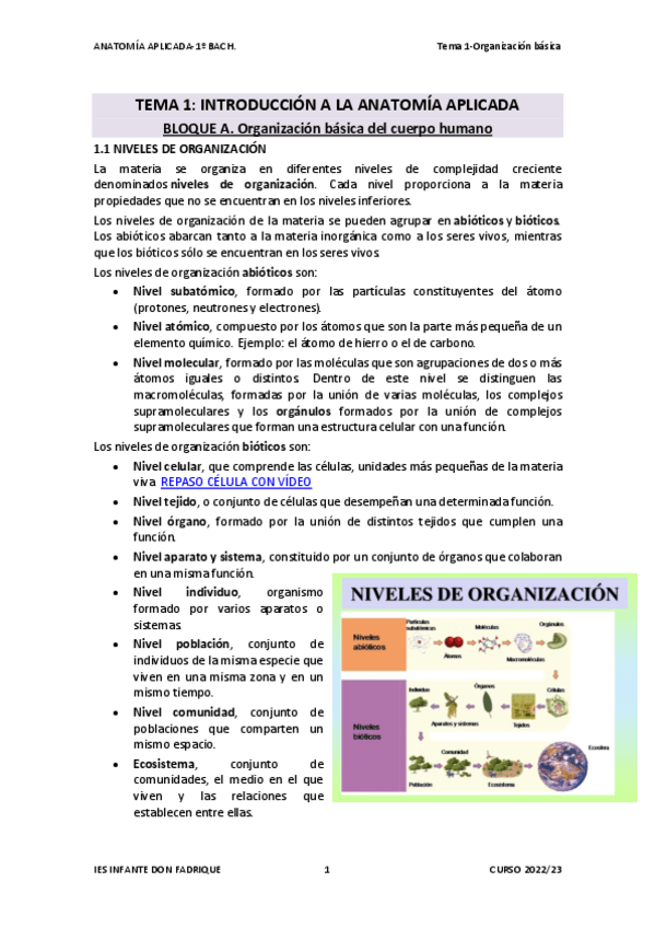 Miniatura del documento TEMA-01-ORGANIZACION-GRAL-ANATOMIA-APLICADA-1.pdf