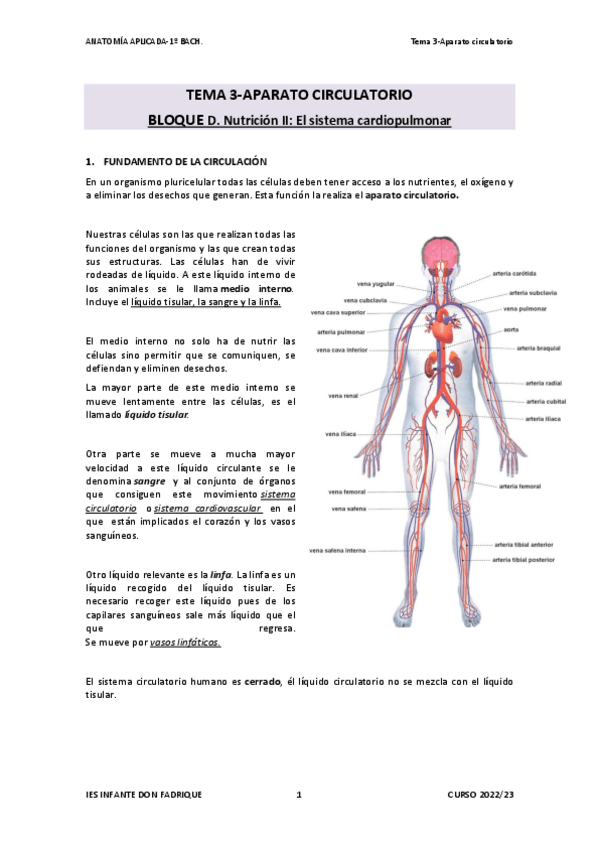 Miniatura del documento TEMA-03-APARATO-CIRCULATORIO.pdf