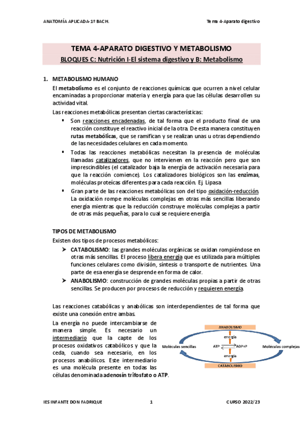 Miniatura del documento TEMA-04-APARATO-DIGESTIVO-Y-METABOLISMO.pdf