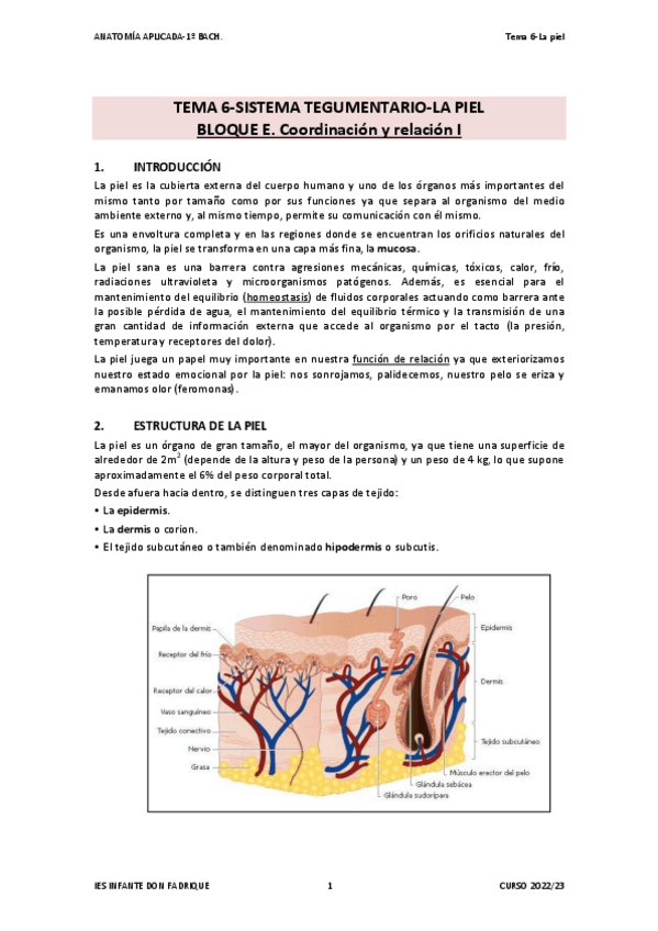 Miniatura del documento TEMA-06-LA-PIEL.pdf