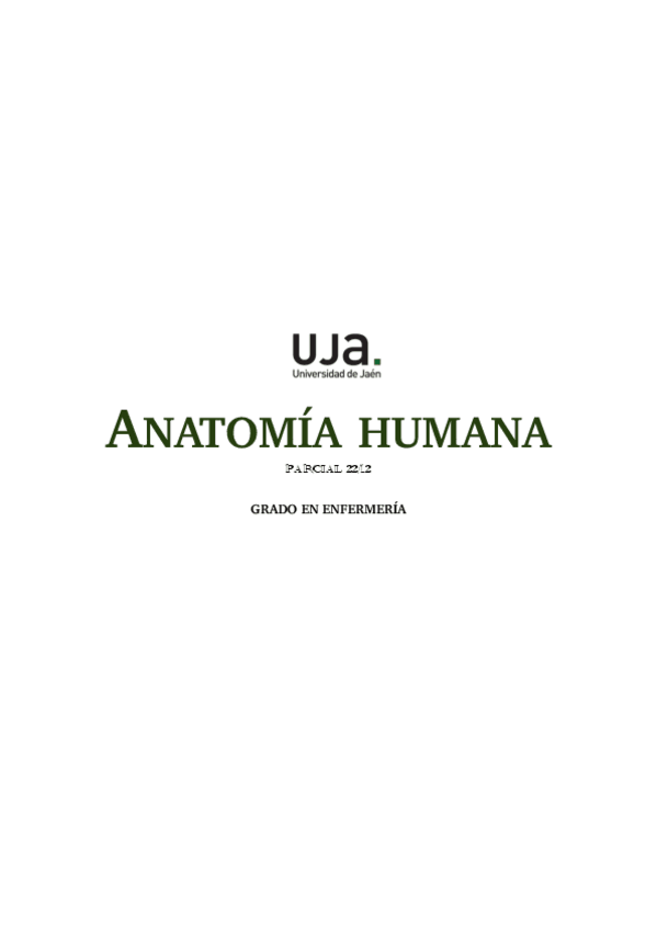 Miniatura del documento Anatomia-Parcial-Macarena.pdf