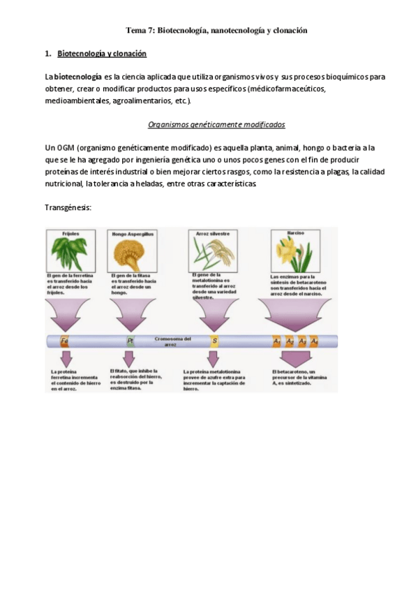 Miniatura del documento Tema-7.pdf