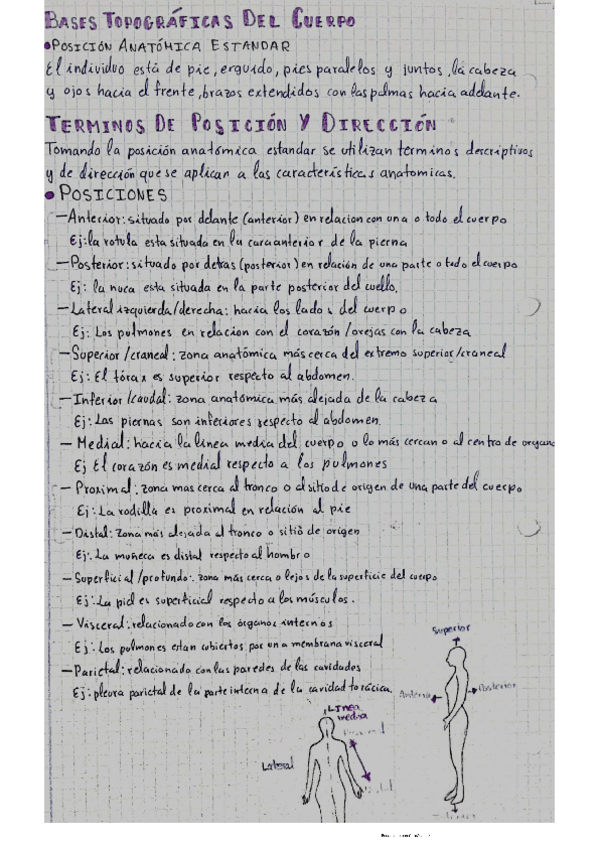 Miniatura del documento TERMINOS-DE-POSICION-Y-DIRECCION-1.pdf