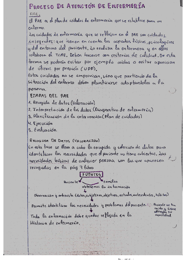 Miniatura del documento PAE-Y-SUS-ETAPAS-1.pdf