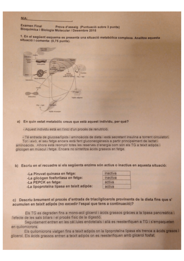 Miniatura del documento ASSAIGBQBM1516-correccio.pdf