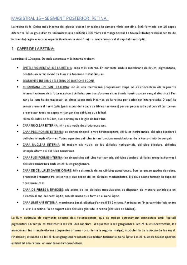 Miniatura del documento ACMAGISTRAL15catala.pdf