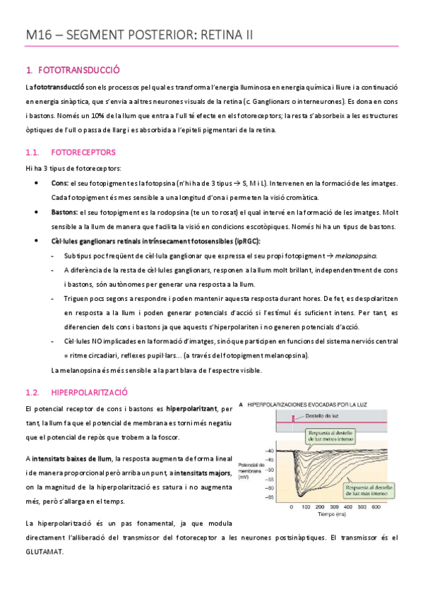 Miniatura del documento ACMAGISTRAL16catala.pdf
