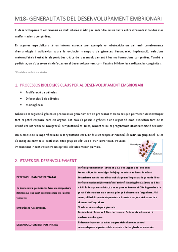 Miniatura del documento ACMAGISTRAL18-21catala.pdf