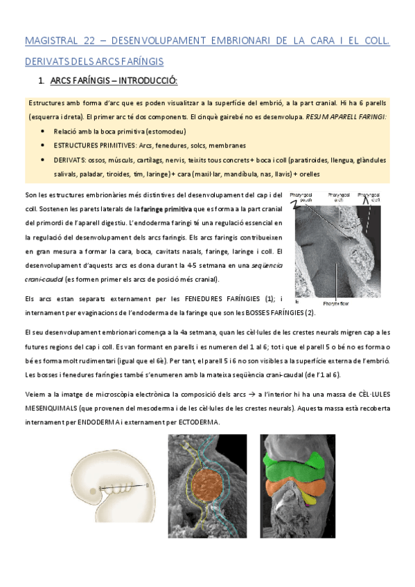 Miniatura del documento ACMAGISTRAL22catala.pdf