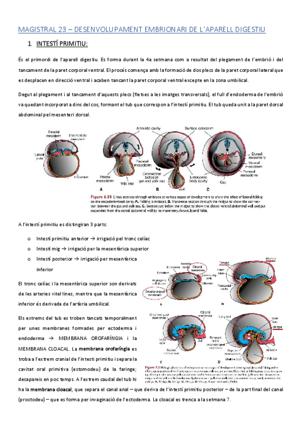 Miniatura del documento ACMAGISTRAL23catala.pdf