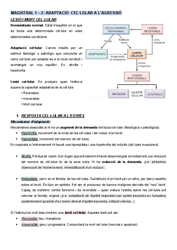 Miniatura del documento MAGISTRAL-01-02.pdf